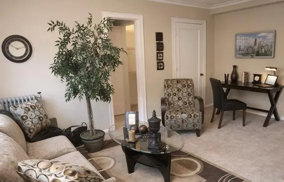 front yard and loggy of Plaisance Apartments inWoodlawn Chicago