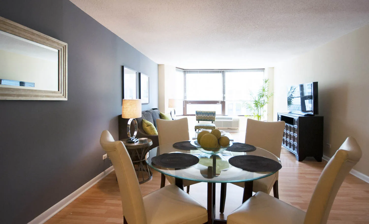 Millennium Park Plaza Apartments