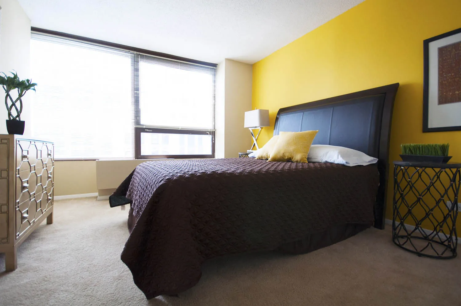 Millennium Park Plaza Apartments