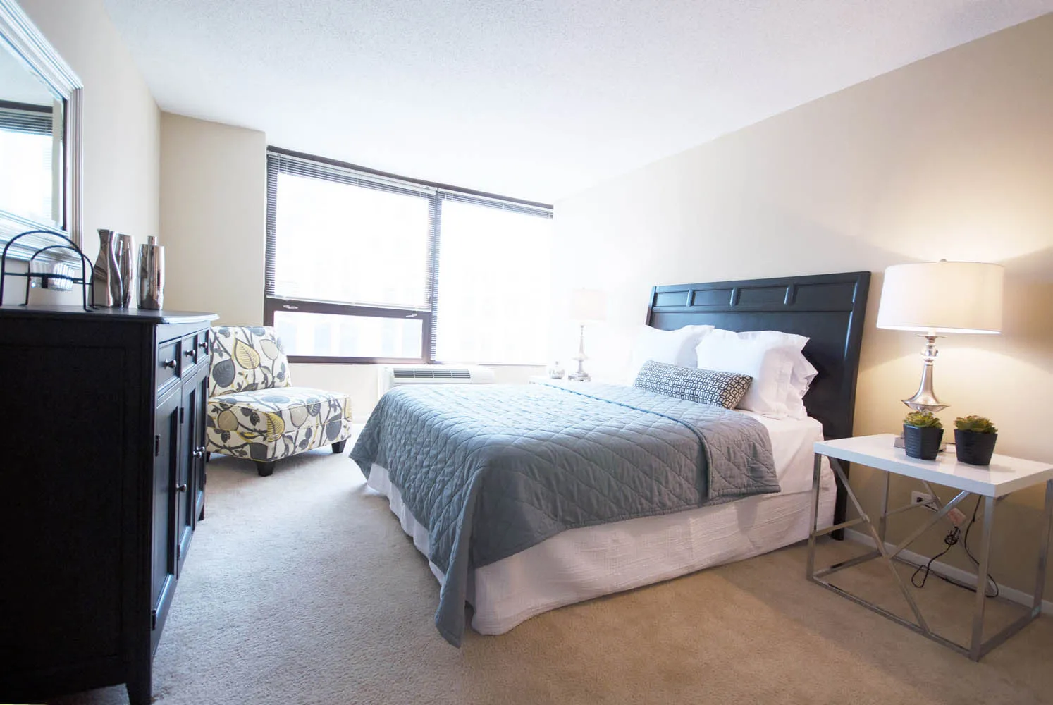Millennium Park Plaza Apartments
