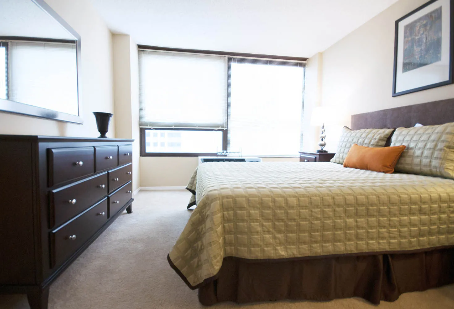 Millennium Park Plaza Apartments