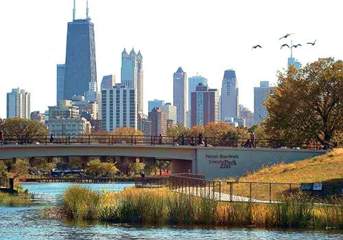 furnished living room apt 601 at 1939 N Lincoln Apartments in Lincoln Park 