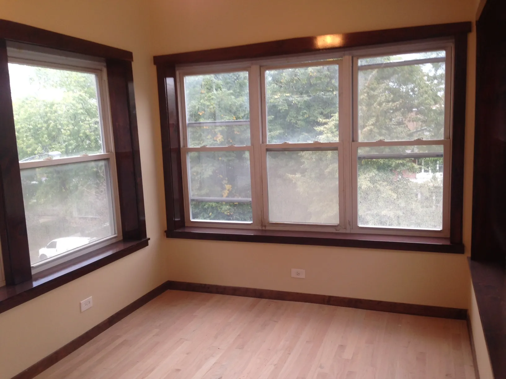 West half of the 1600 block of West Touhy Avenue south side of the street