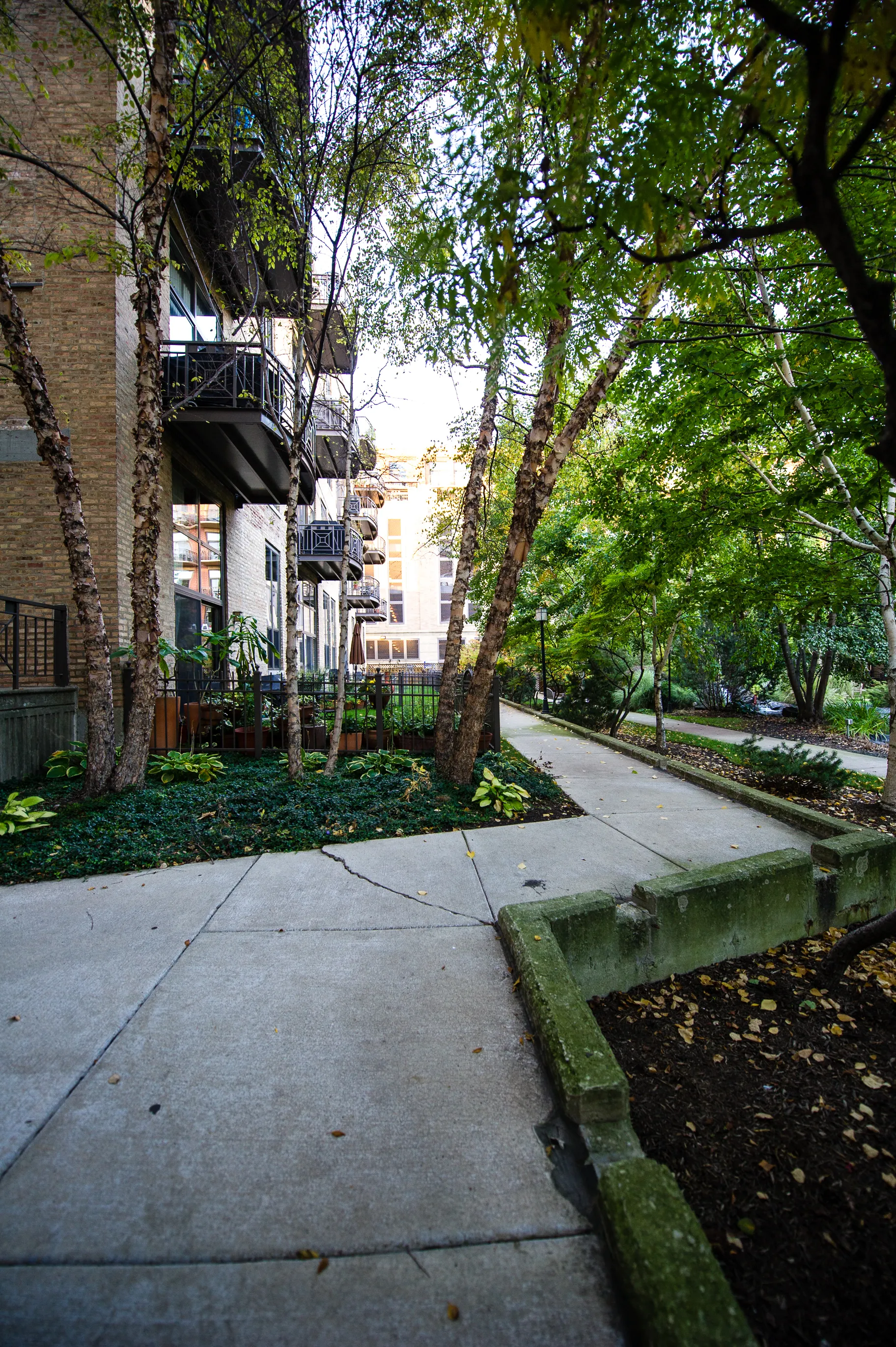 1330 W MONROE ST 60607-Loft Block Y-unit#000-Chicago-IL