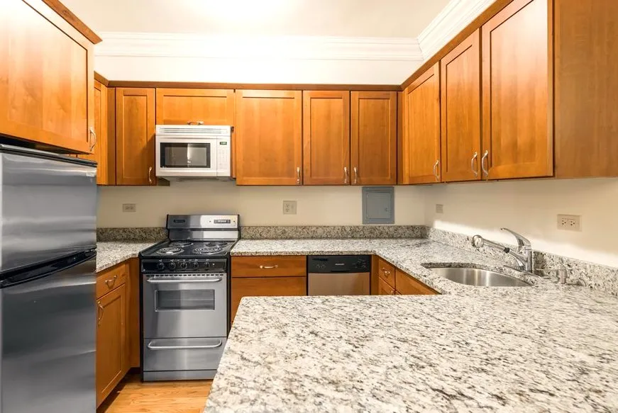 The Patricians Apartments in Lincoln Park, Chicago