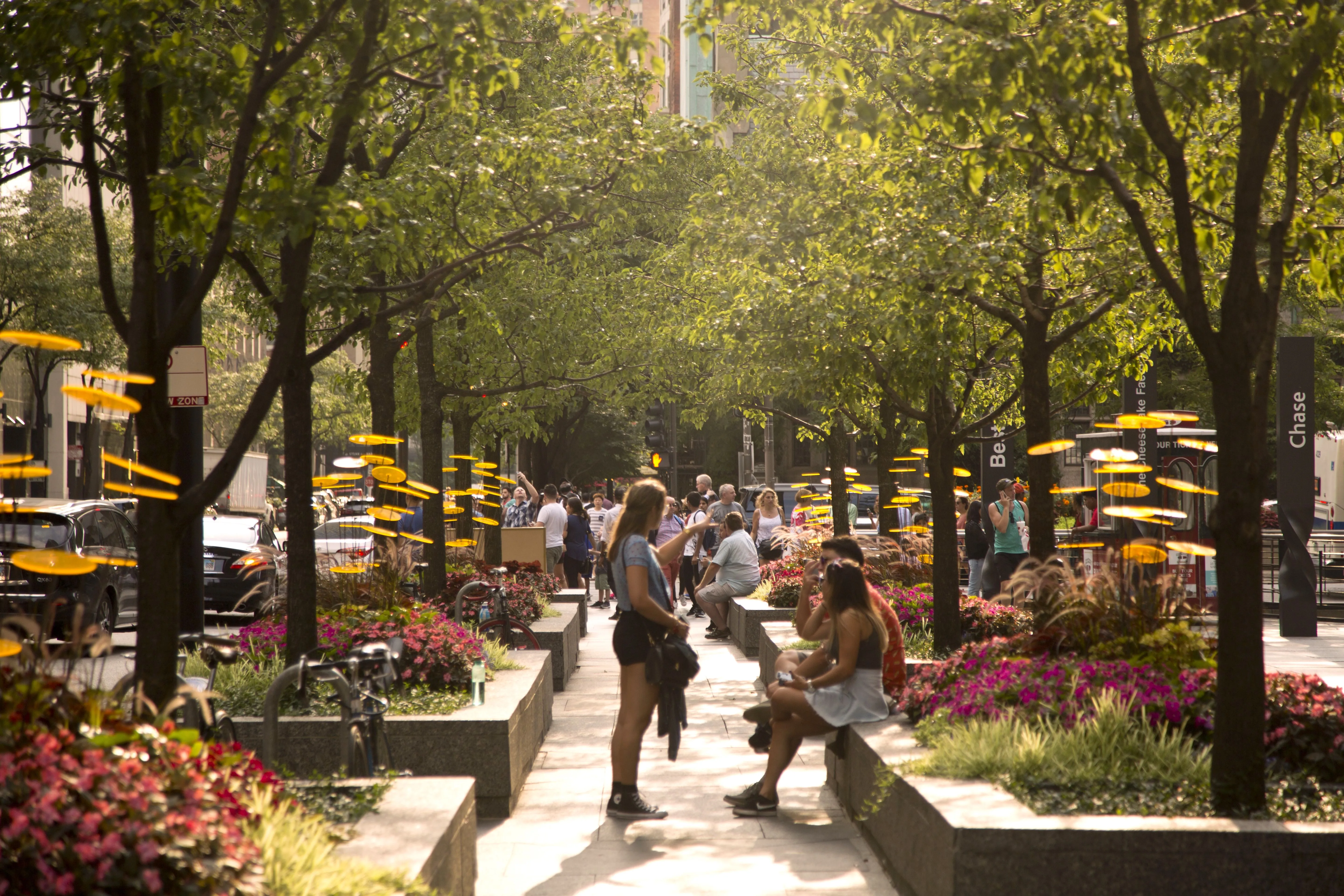 55 West Chestnut Apartments in River North, Chciago