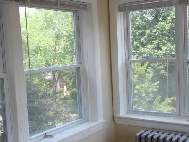 Late spring looking west from sunroom