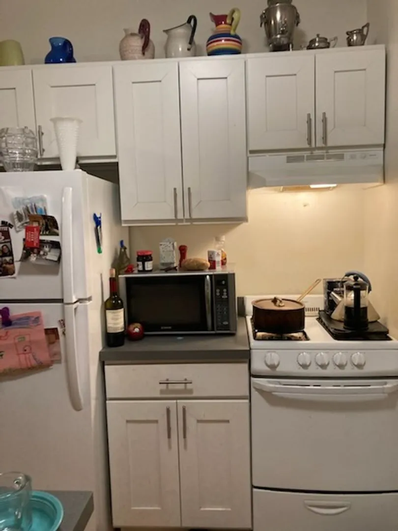 2020 W Berwyn Ave, ,  60625, USA 60625-unit#3-Chicago-IL