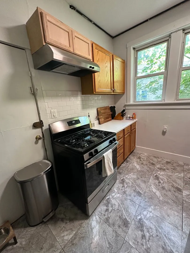 3111 N Clifton Ave, ,  60657, USA 60657-unit#1F-Chicago-IL