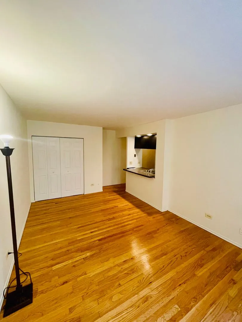 535 W Briar Pl, ,  60657, USA 60657-unit#450-Chicago-IL