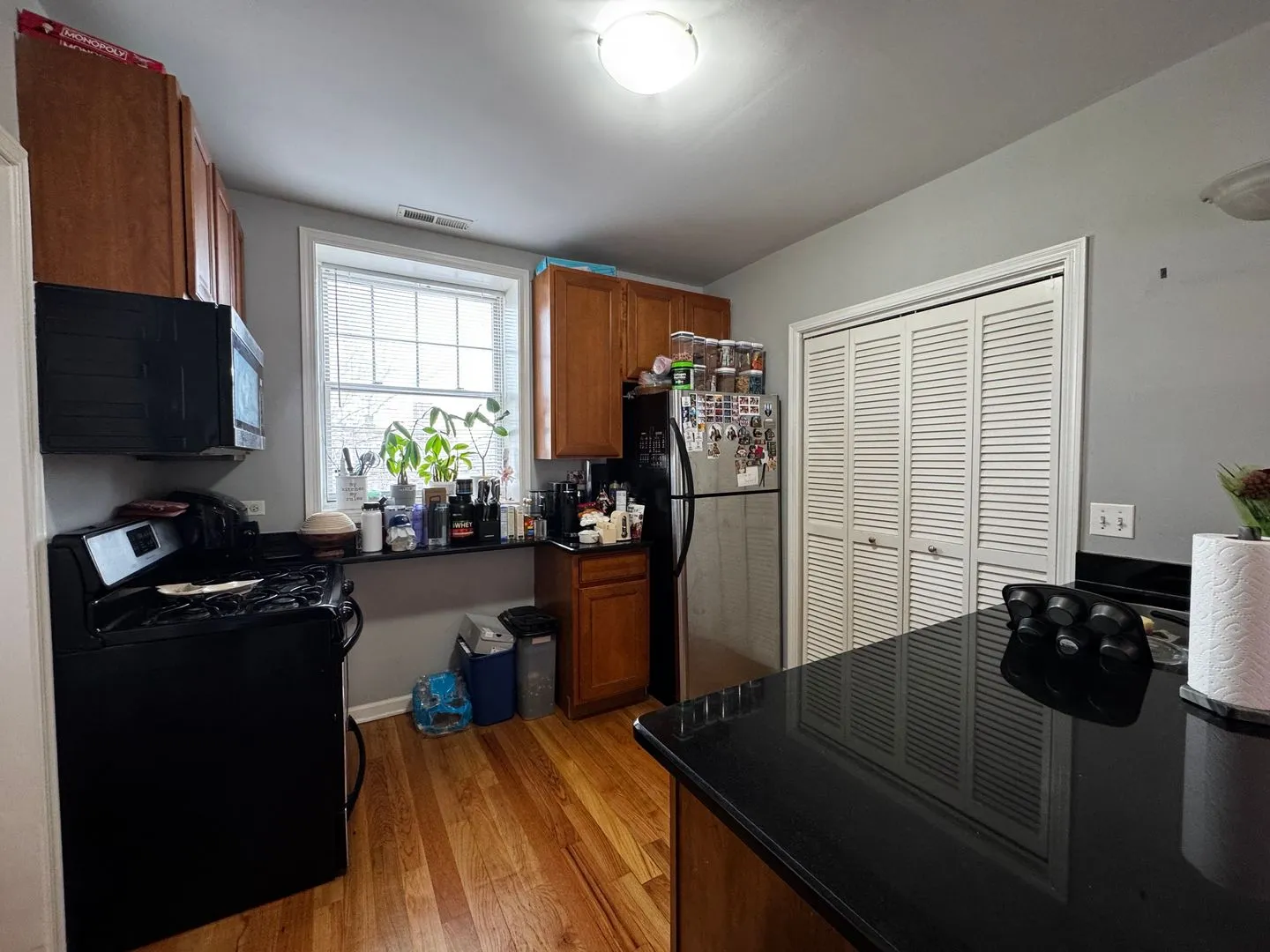 3217 N Karlov Ave, ,  60641, USA 60641-unit#1-Chicago-IL