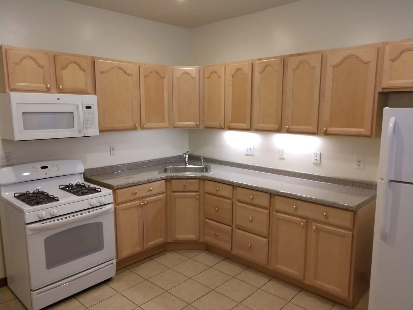 3733 W Berteau Ave, ,  60618, USA 60618-unit#1-Chicago-IL