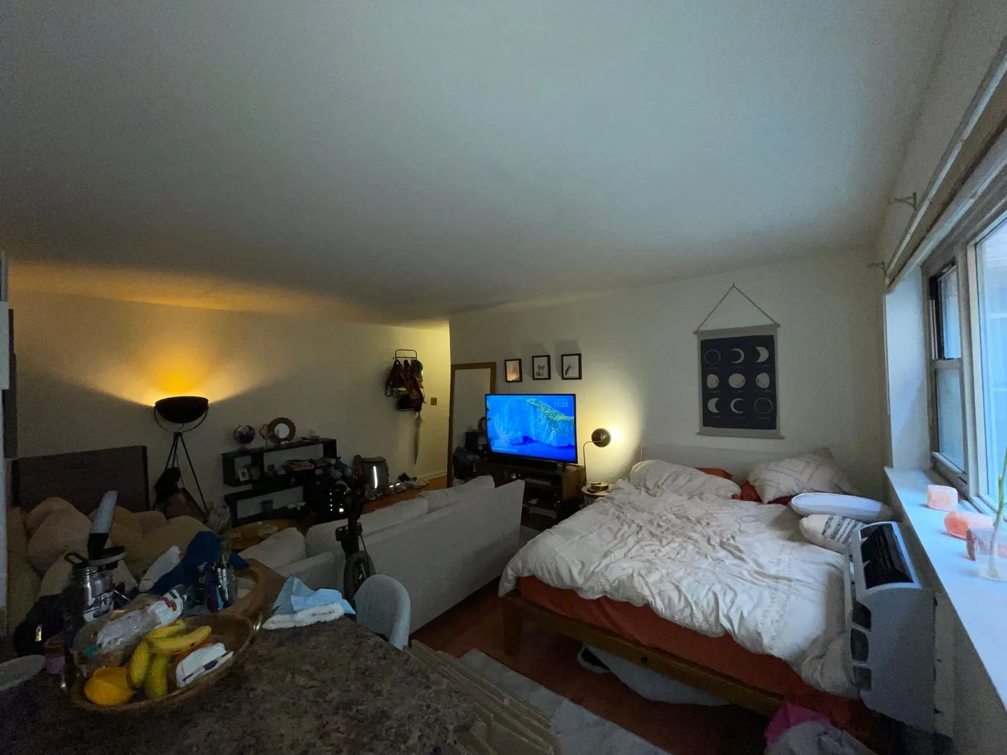 521 W Briar Pl, ,  60657, USA 60657-unit#205-Chicago-IL