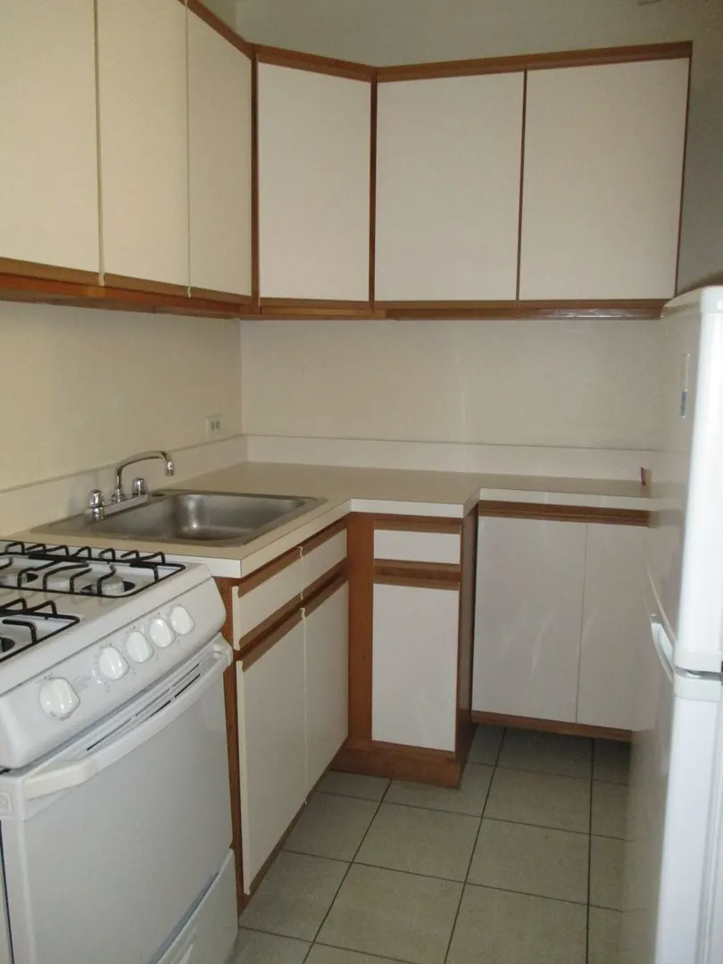 921 W Oakdale Ave, , 60657, USA 60657-unit#1B-Chicago-IL