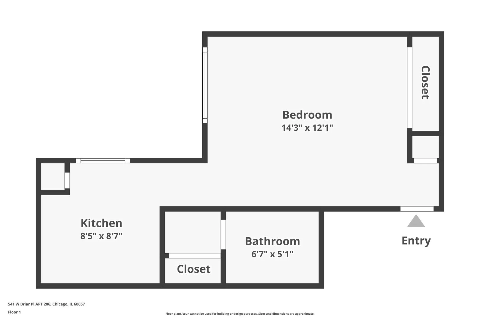 541 W Briar Pl, ,  60657, USA 60657-unit#206-Chicago-IL