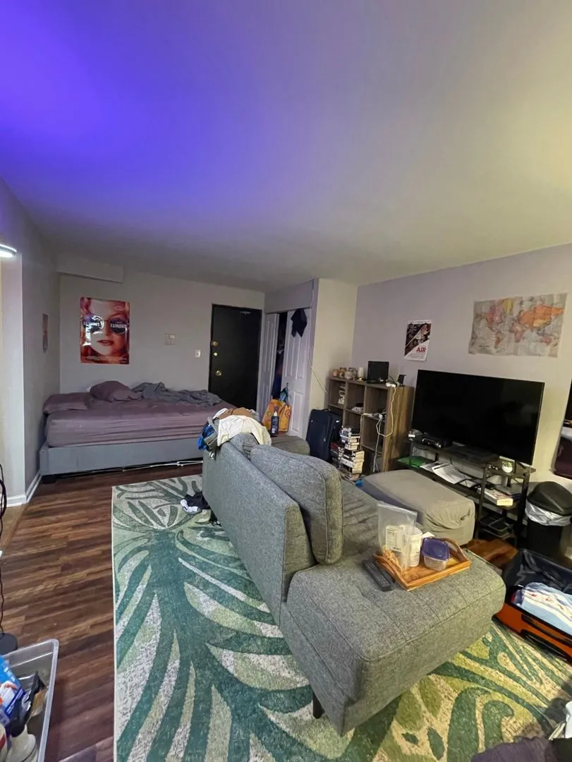 521 W Briar Pl, , 60657, USA 60657-unit#201-Chicago-IL
