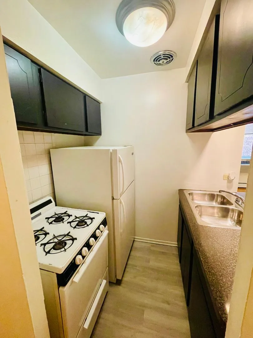 535 W Briar Pl, ,  60657, USA 60657-unit#450-Chicago-IL