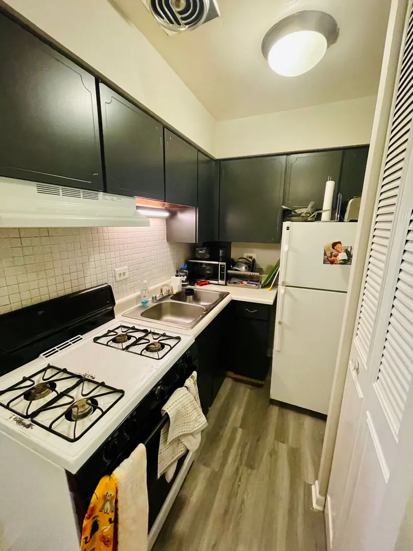 3160 N Cambridge Ave, , 60657, USA 60657-unit#302-Chicago-IL