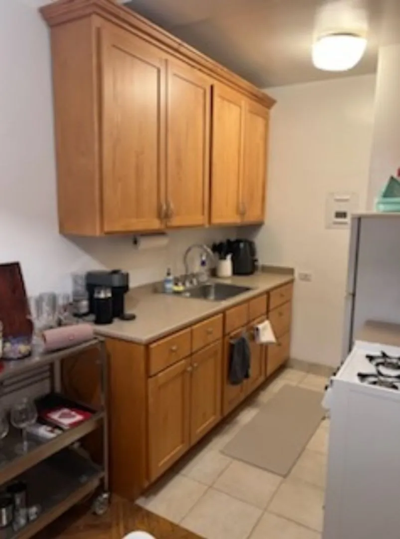 415 W Fullerton Pkwy, ,  60614, USA 60614-unit#507-Chicago-IL