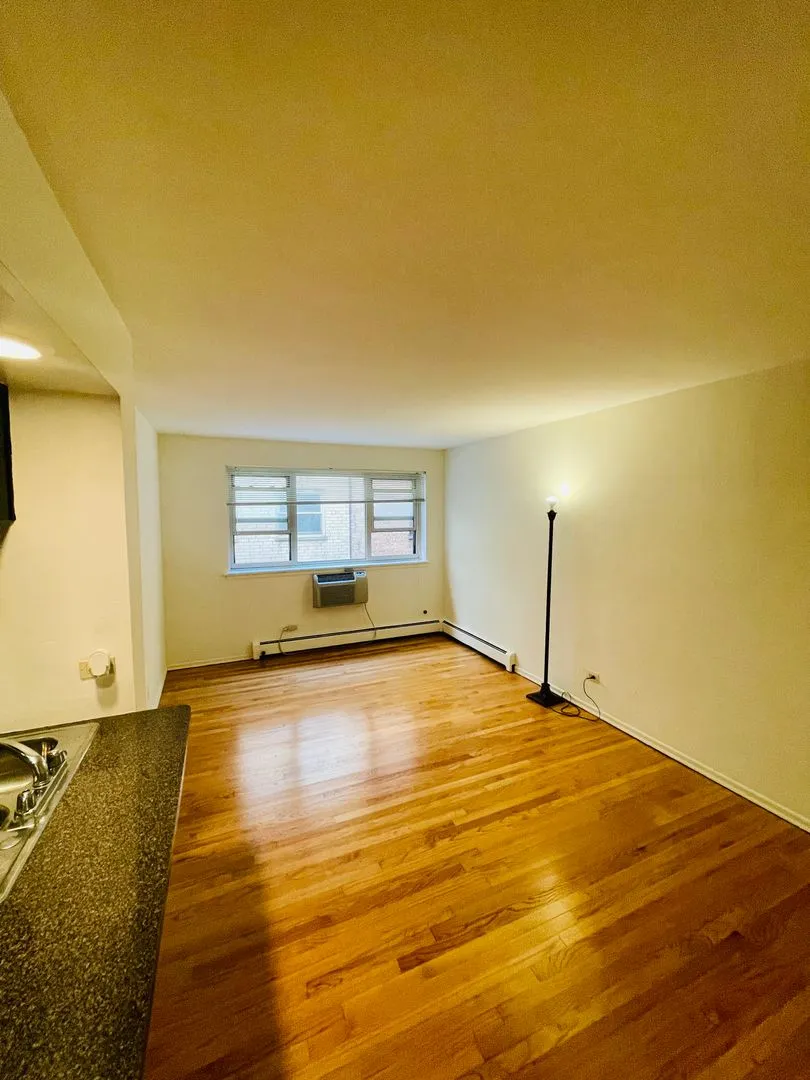 535 W Briar Pl, ,  60657, USA 60657-unit#450-Chicago-IL