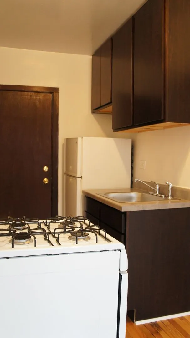 3300 W Schubert Ave, ,  60647, USA 60647-unit#1C-Chicago-IL