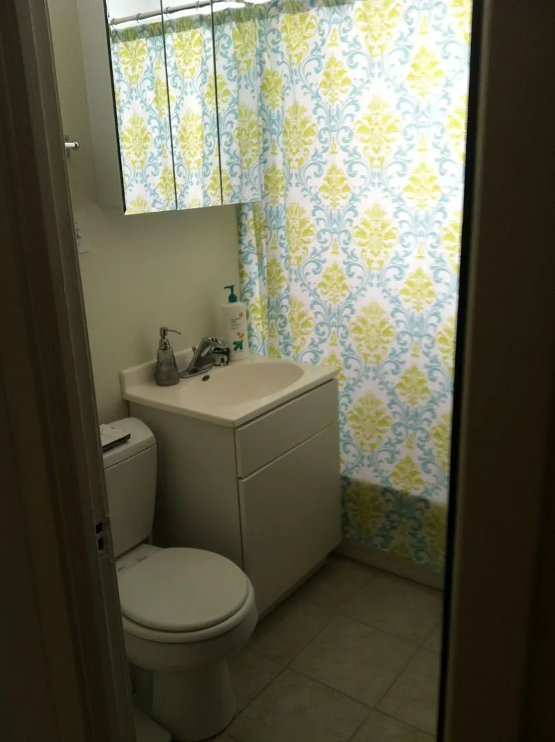 12 N Hermitage Ave, ,  60612, USA 60612-unit#2A-Chicago-IL