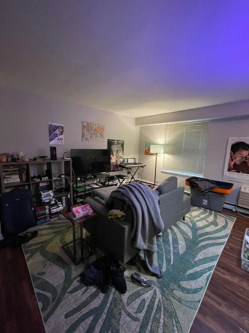 521 W Briar Pl, , 60657, USA 60657-unit#201-Chicago-IL