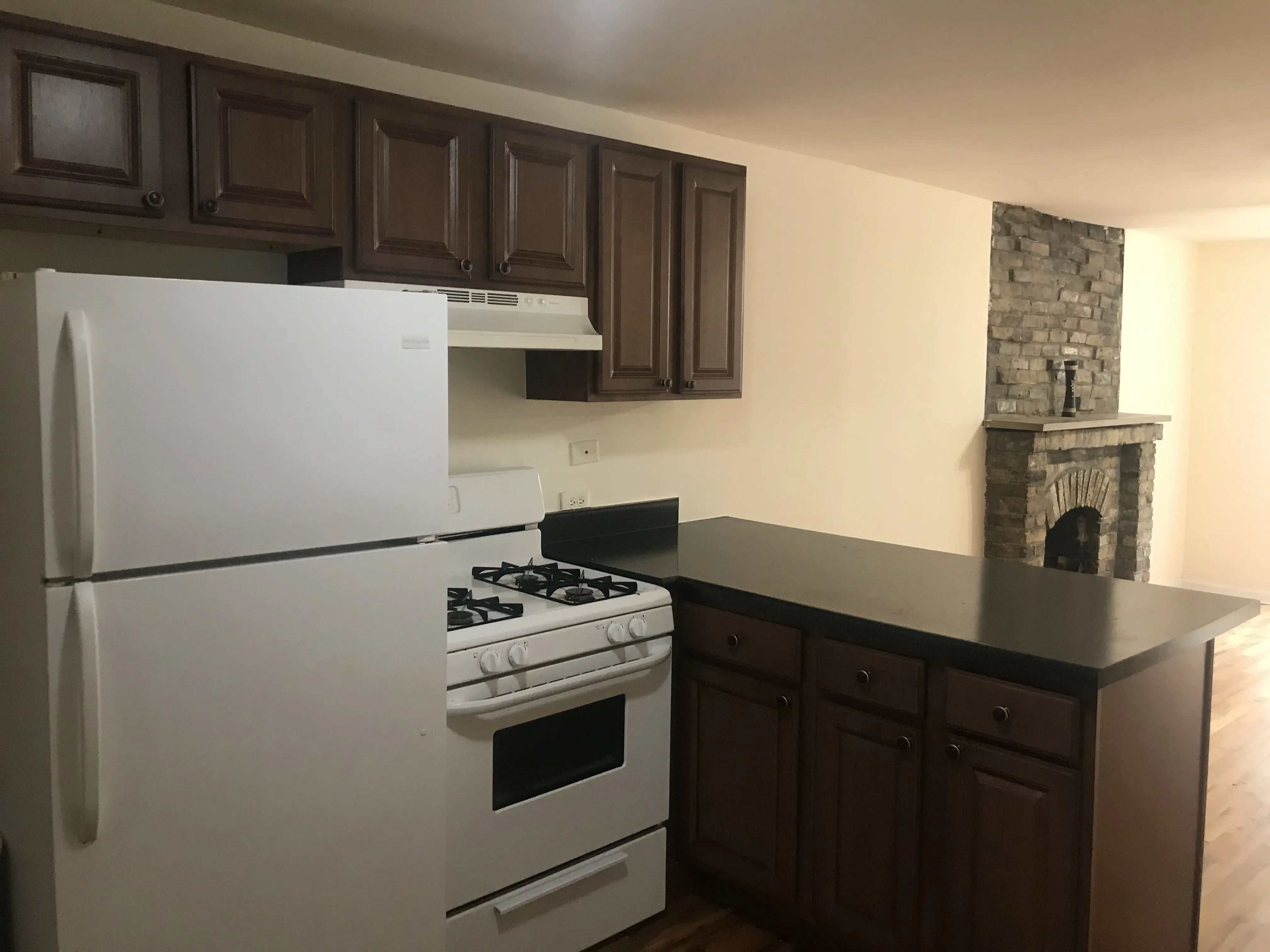 1042 W WEBSTER AVE 60614-unit#bsmt-Chicago-IL