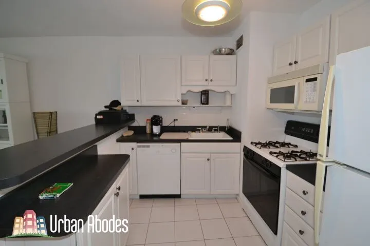 1150 N LAKE SHORE DR 60611-unit#20F-Chicago-IL