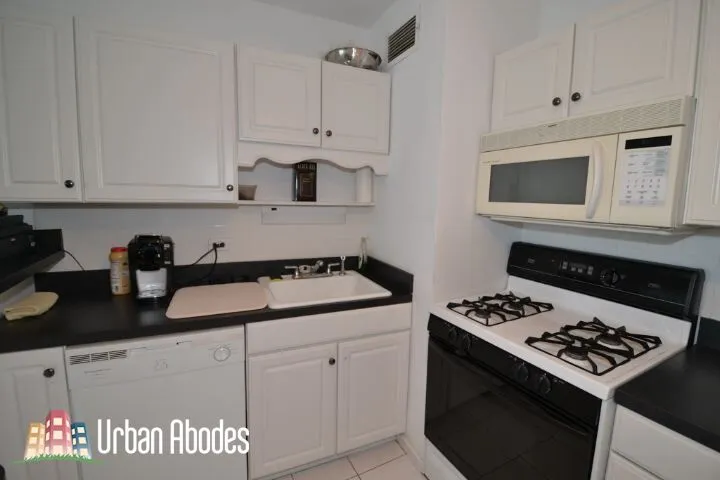 1150 N LAKE SHORE DR 60611-unit#20F-Chicago-IL