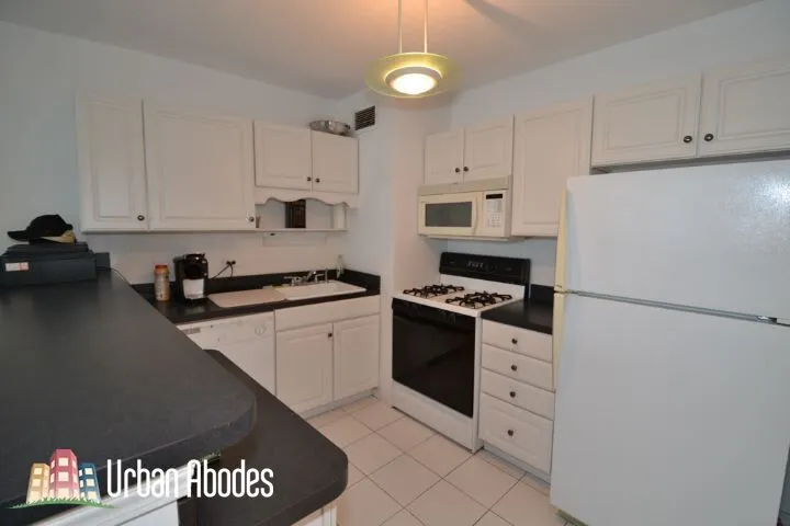 1150 N LAKE SHORE DR 60611-unit#20F-Chicago-IL