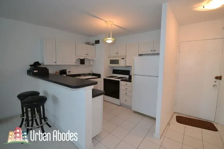 1150 N LAKE SHORE DR 60611-unit#20F-Chicago-IL