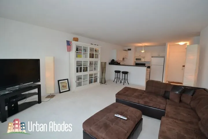 1150 N LAKE SHORE DR 60611-unit#20F-Chicago-IL