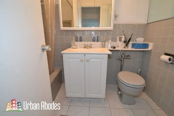 1150 N LAKE SHORE DR 60611-unit#20F-Chicago-IL