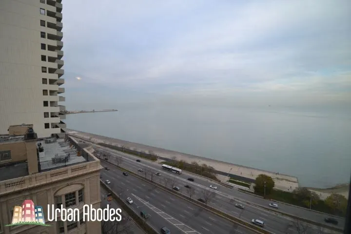 1150 N LAKE SHORE DR 60611-unit#20F-Chicago-IL