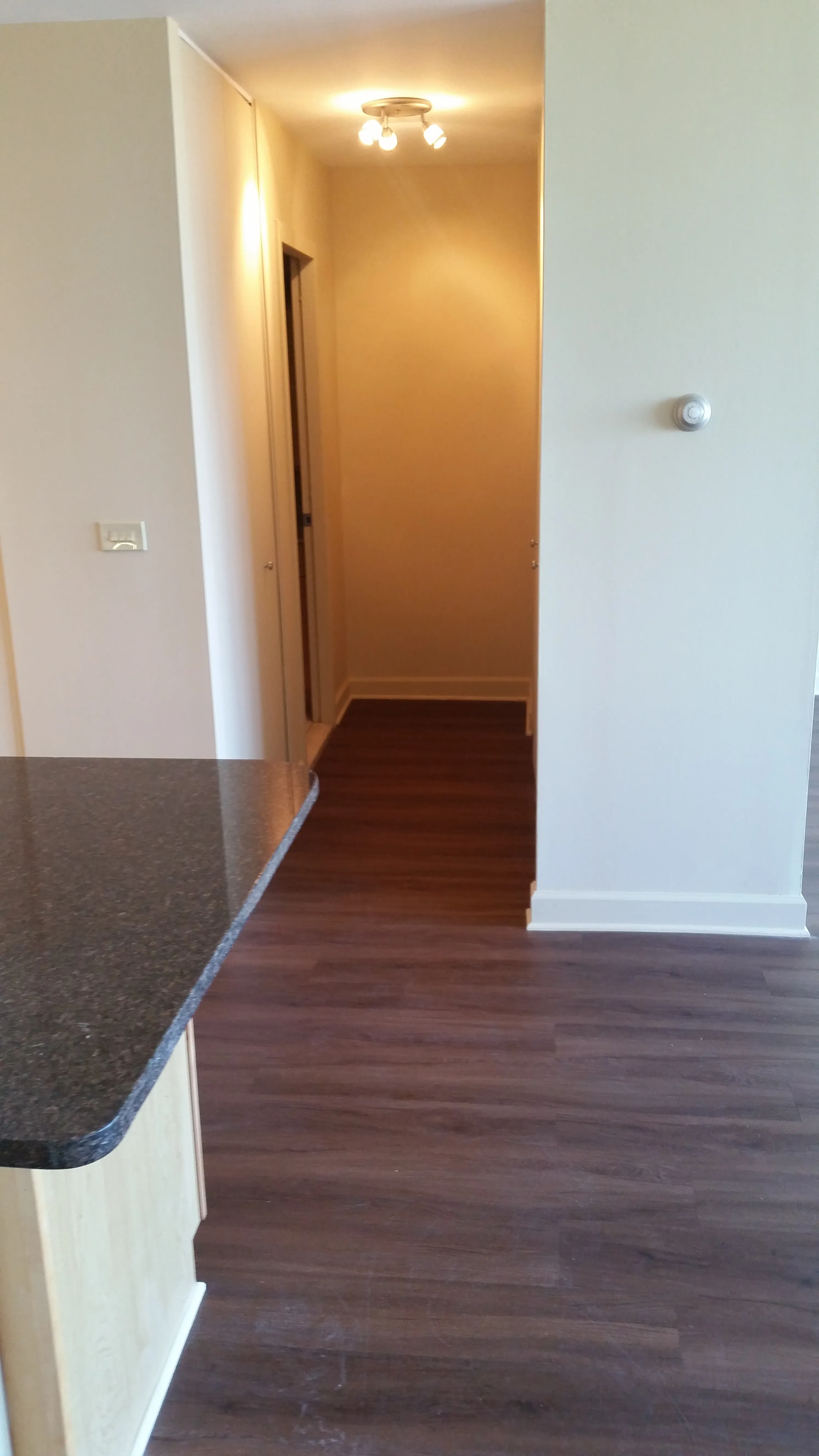 1850 N CLARK ST 60614-Hemingway-unit#1606-Chicago-IL