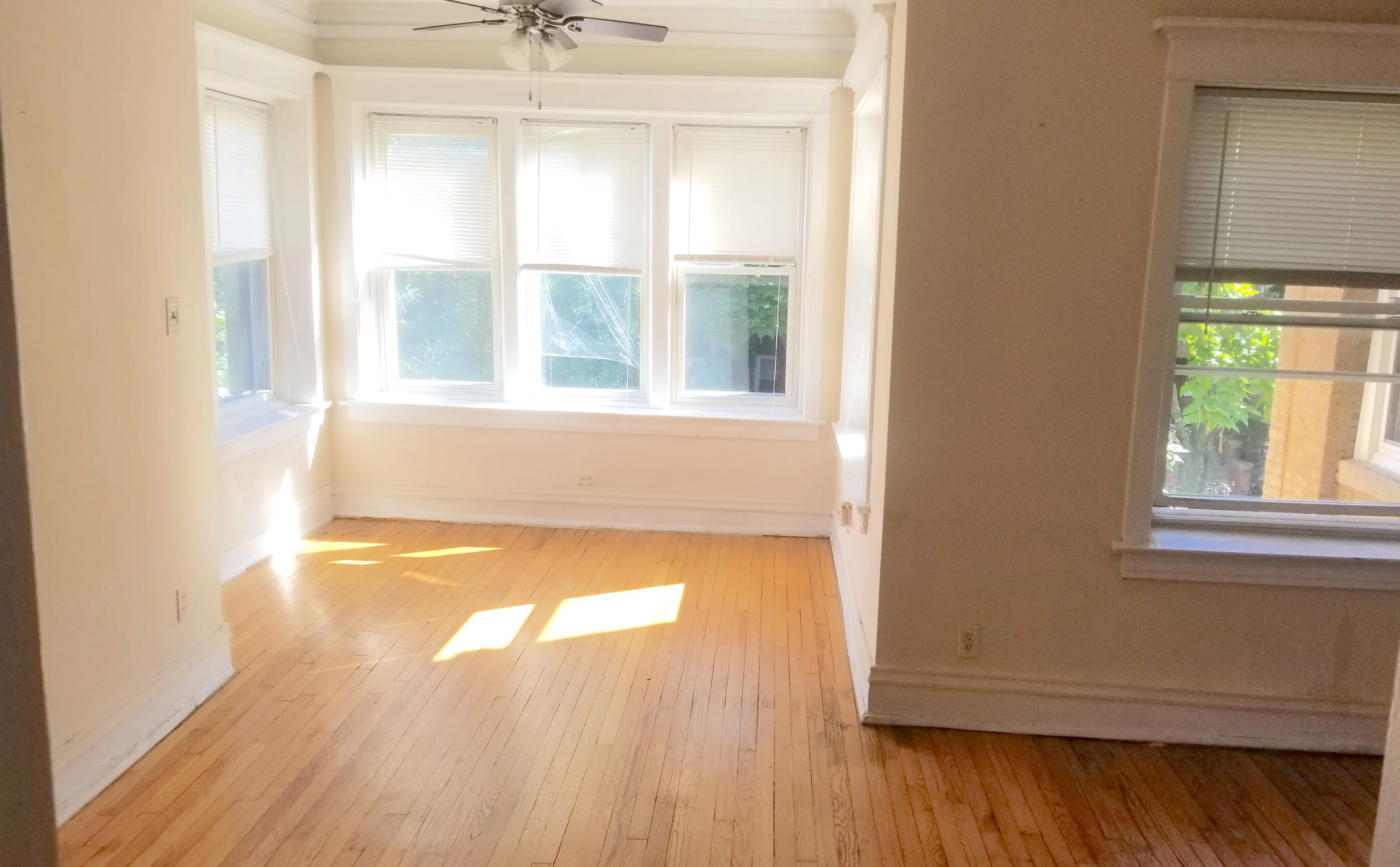 1300 W ALBION AVE 60626-unit#01-Chicago-IL