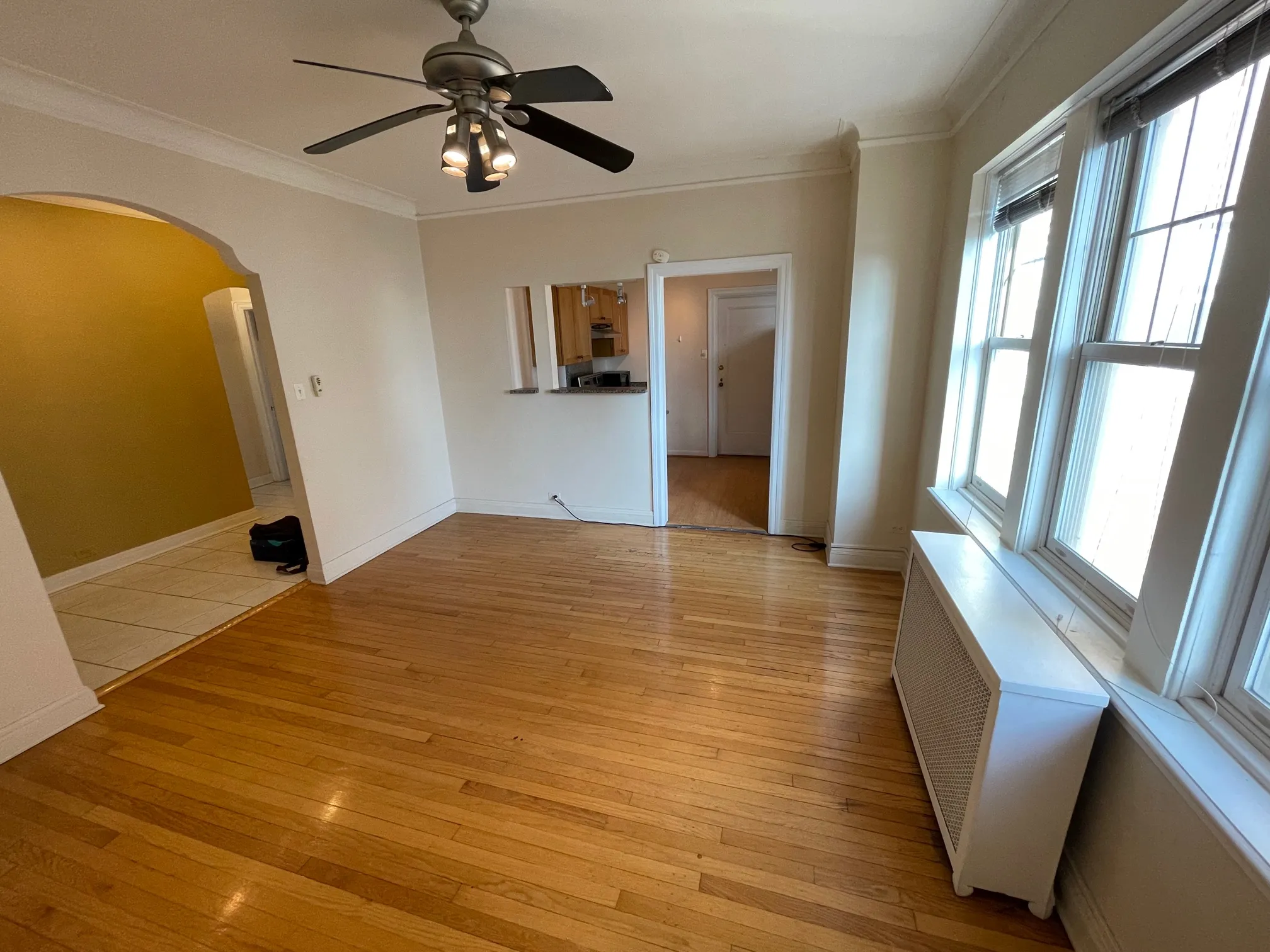 5000 S CORNELL AVE 60615-unit#17D-Chicago-IL