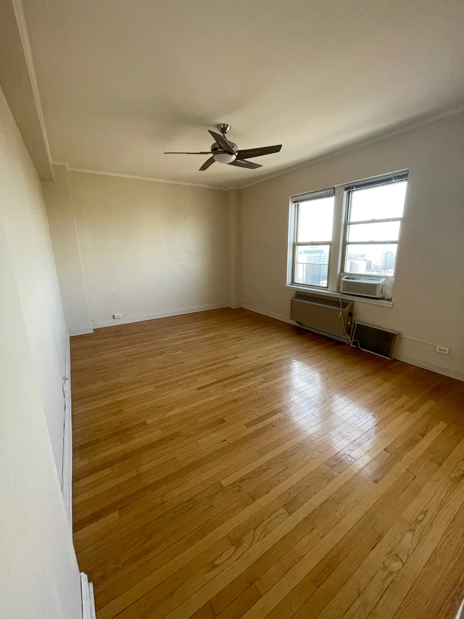 5000 S CORNELL AVE 60615-unit#17D-Chicago-IL