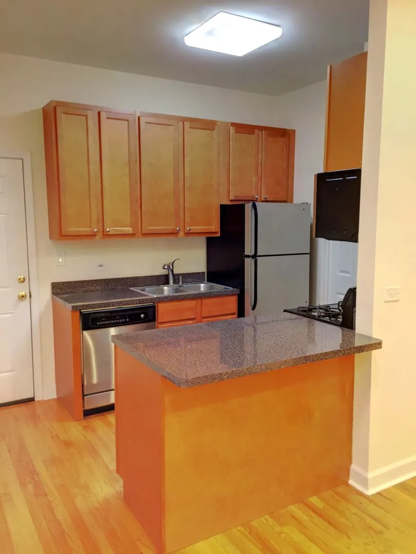 857 N WINCHESTER AVE 60622-unit#1-R-Chicago-IL