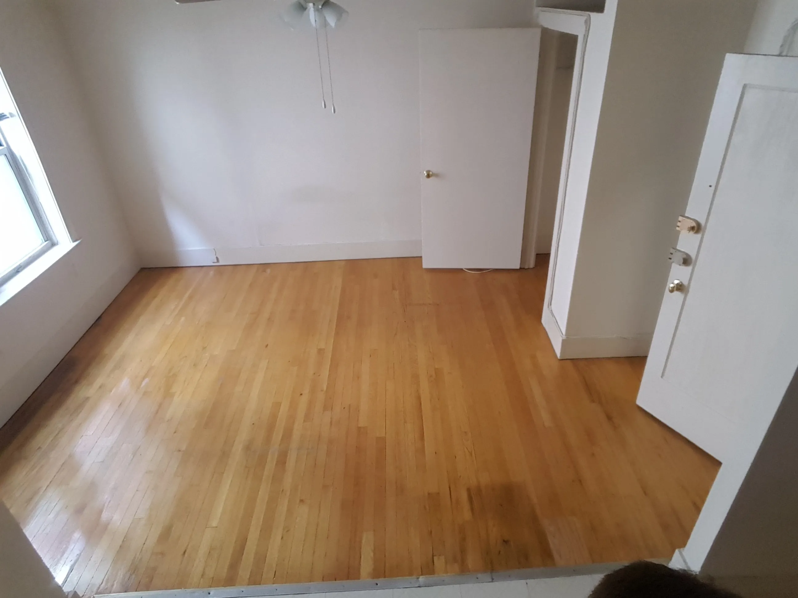 1100 N ROSCOE ST 60610-unit#19-Chicago-IL