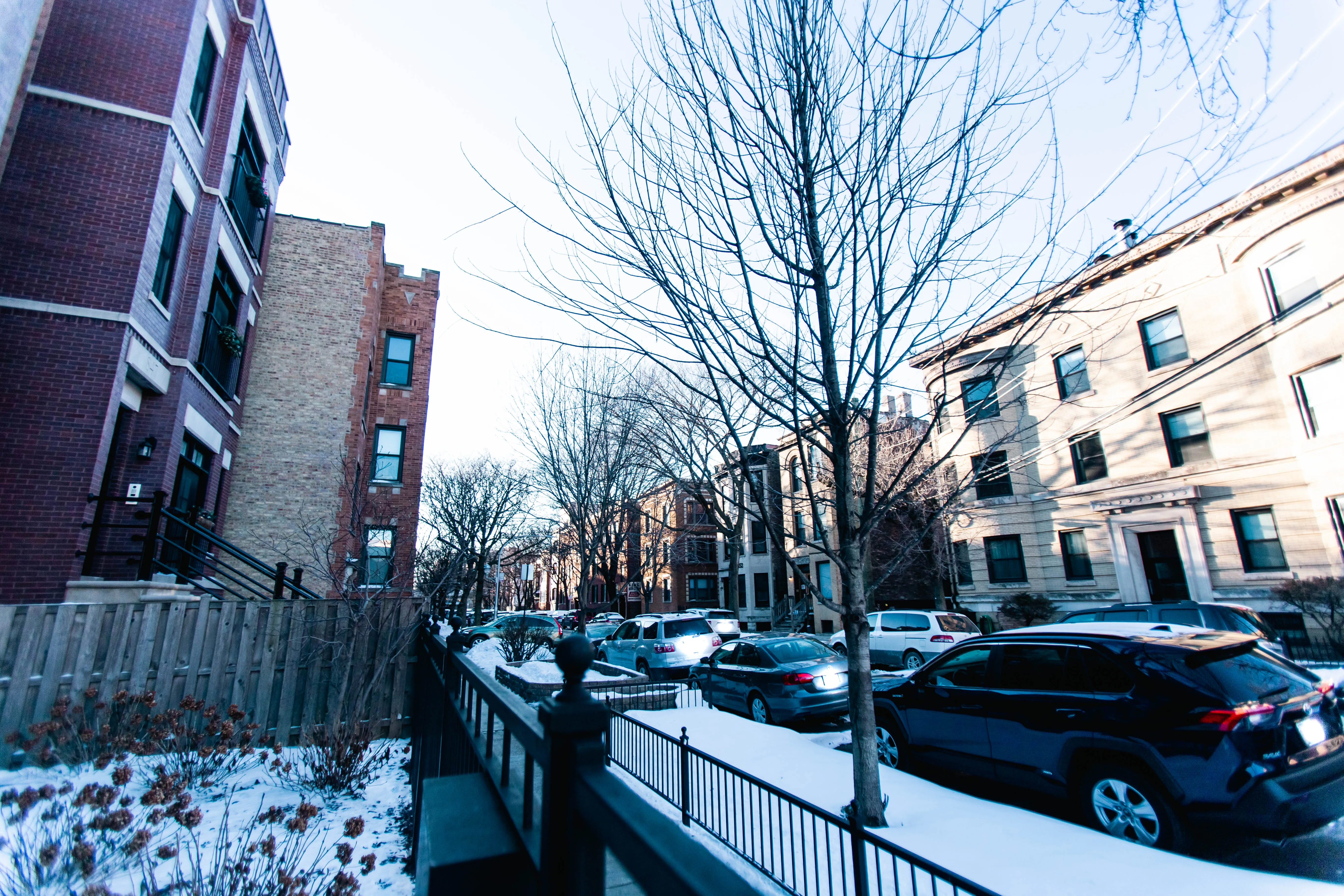 843 W FLETCHER ST 60657-Fletcher Condos-unit#2-W-Chicago-IL