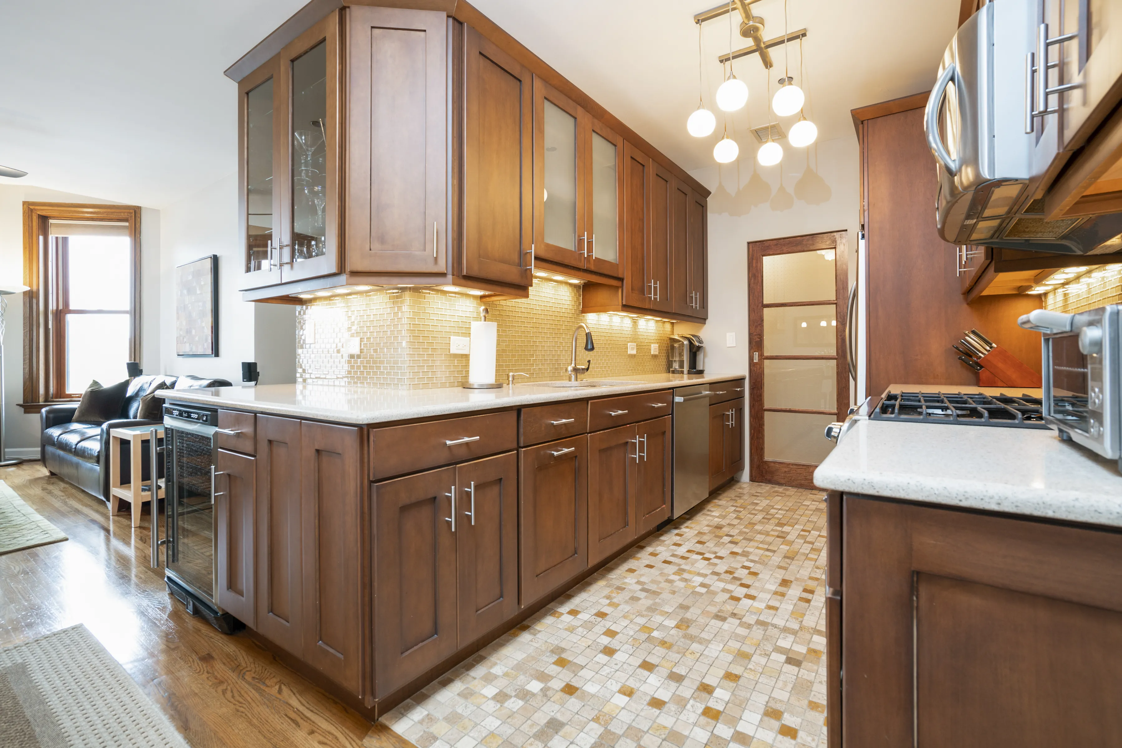 550 W SURF ST 60657-Commodore-unit#A512-Chicago-IL