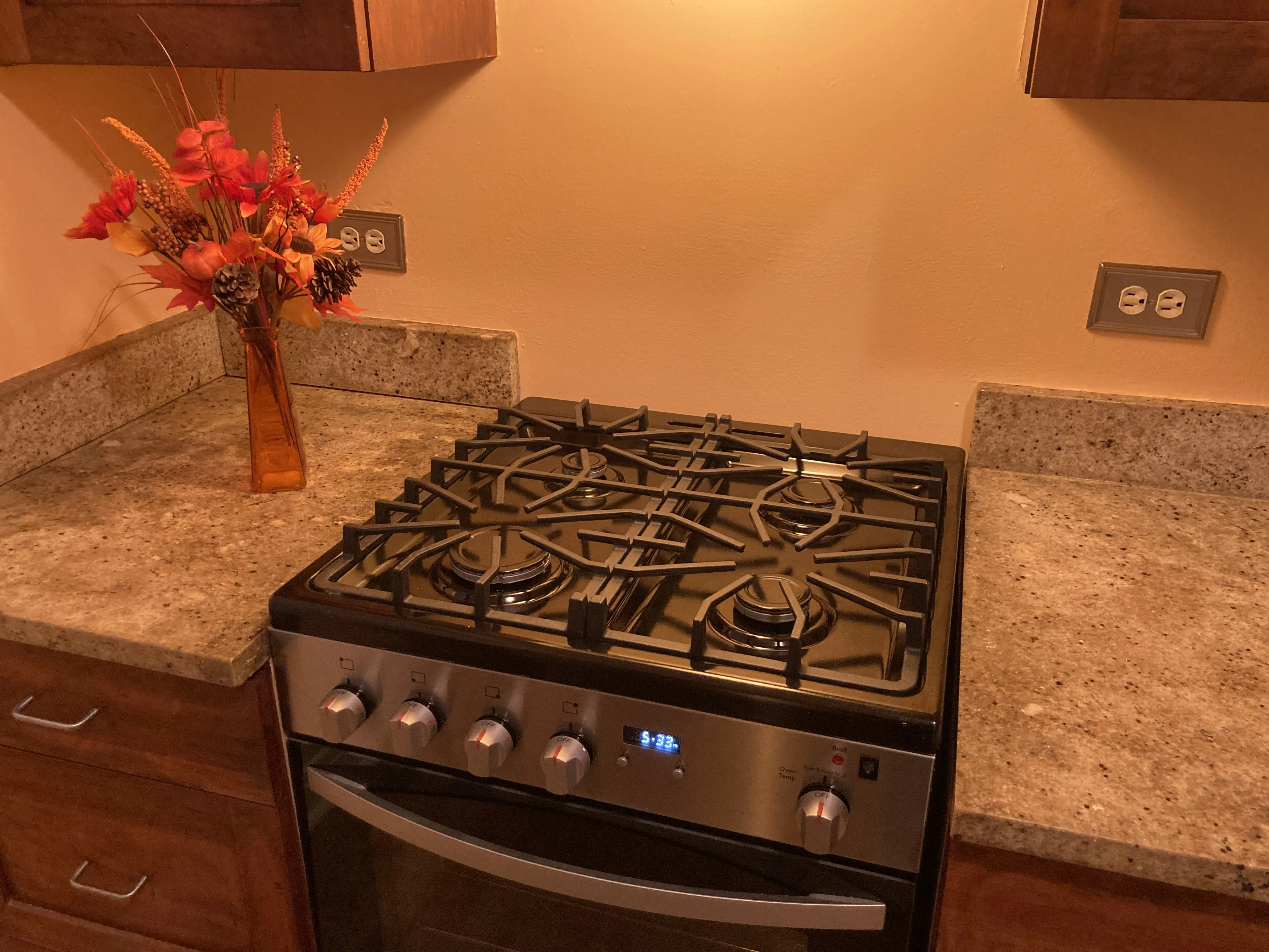 7025 N SHERIDAN RD 60626-Sheridan Shores Condos-unit#1N-Chicago-IL