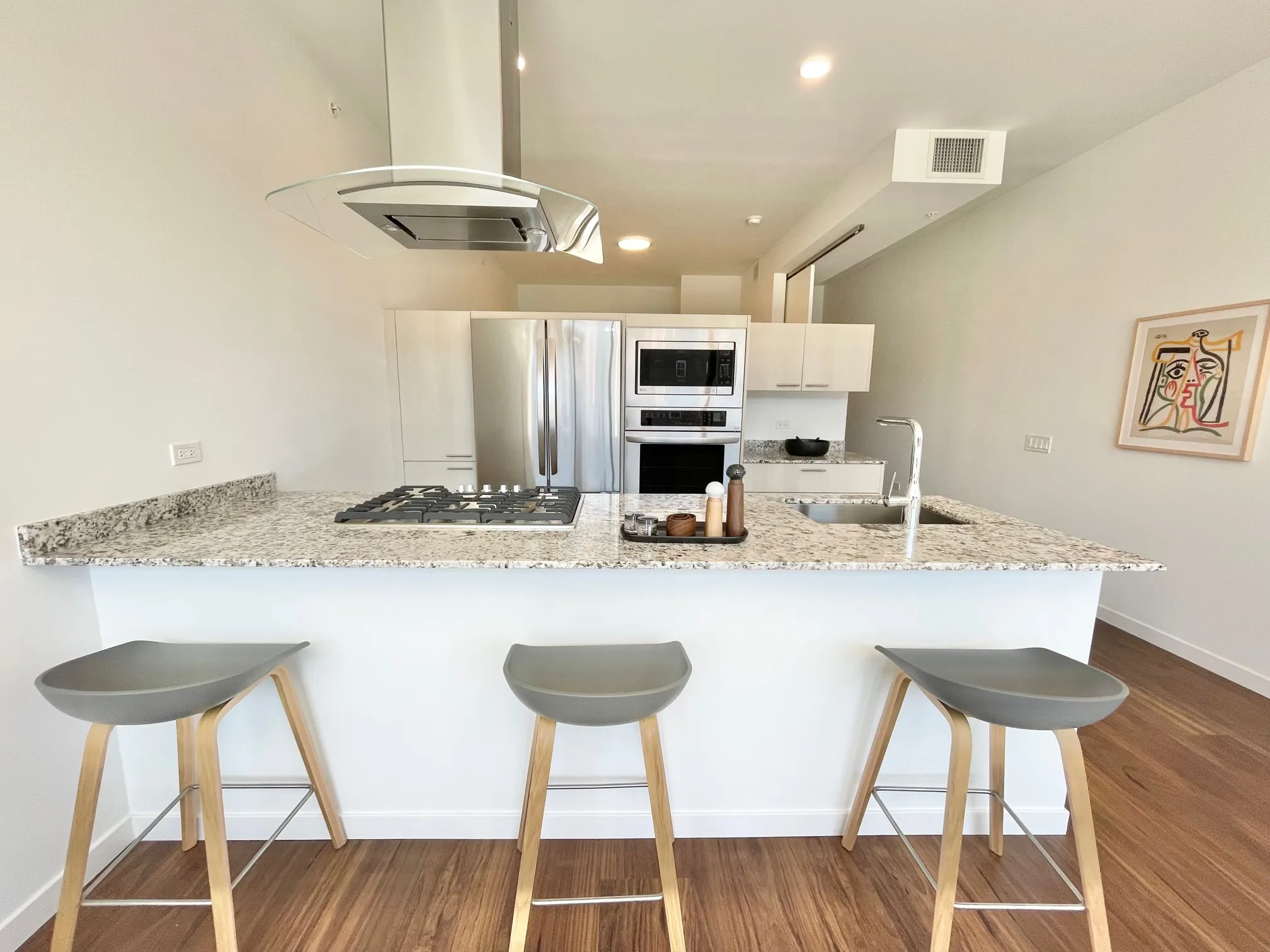 3478 N BROADWAY 60613-Lakeview Luxury Apartment-unit#Apt1-Chicago-IL