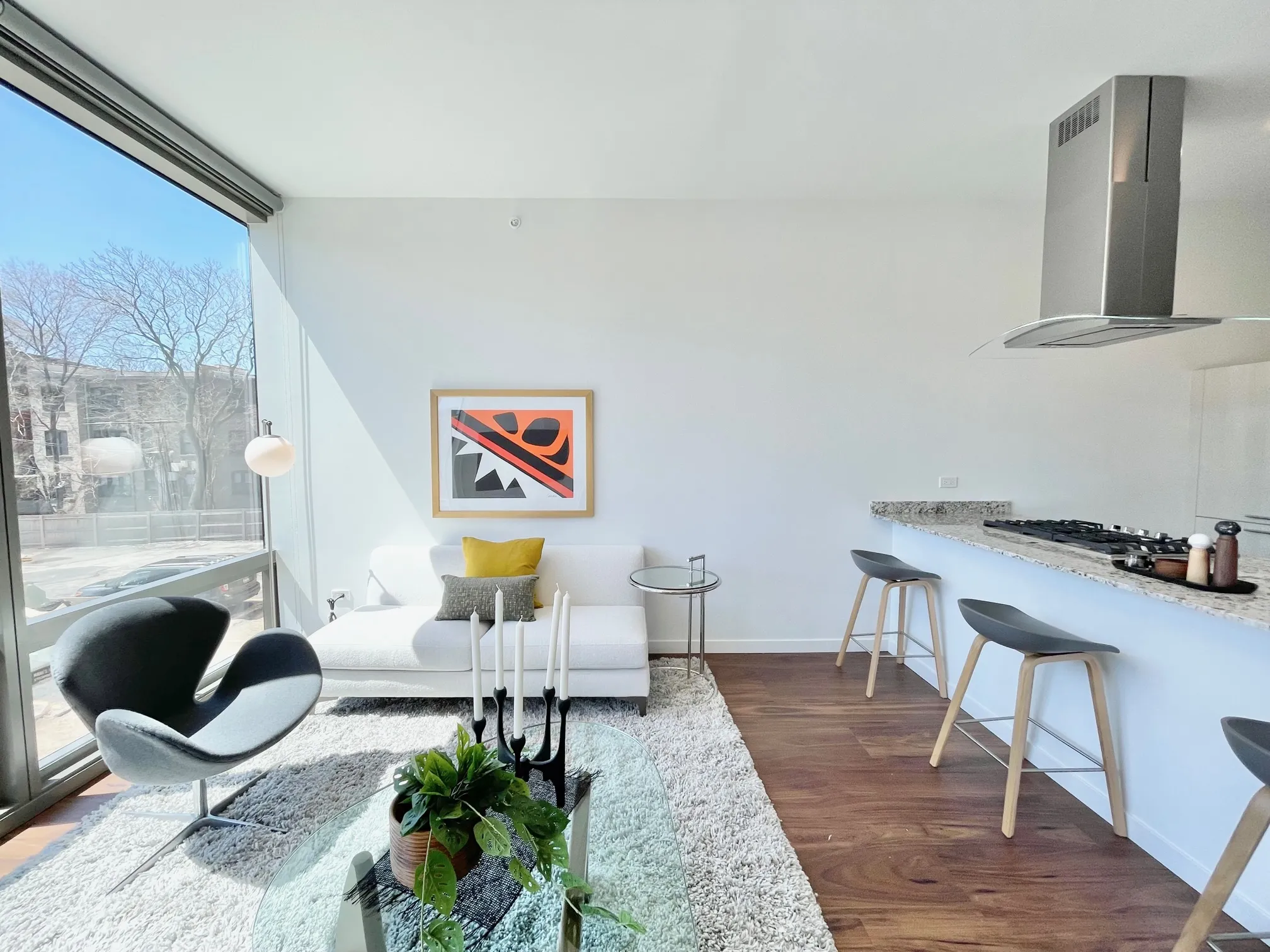 3478 N BROADWAY 60613-Lakeview Luxury Apartment-unit#Apt1-Chicago-IL