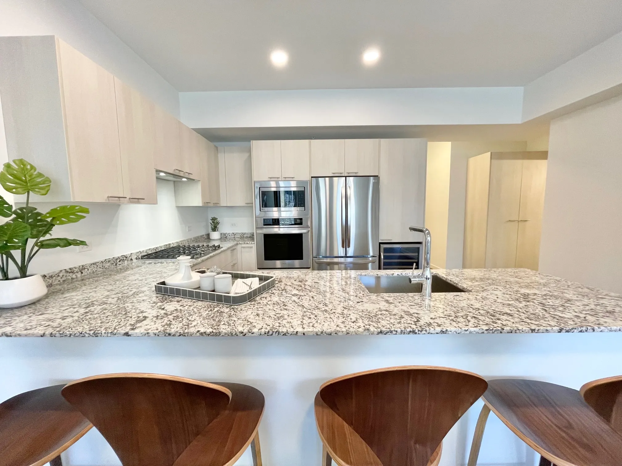 3478 N BROADWAY 60657-New Luxury-unit#002-Chicago-IL