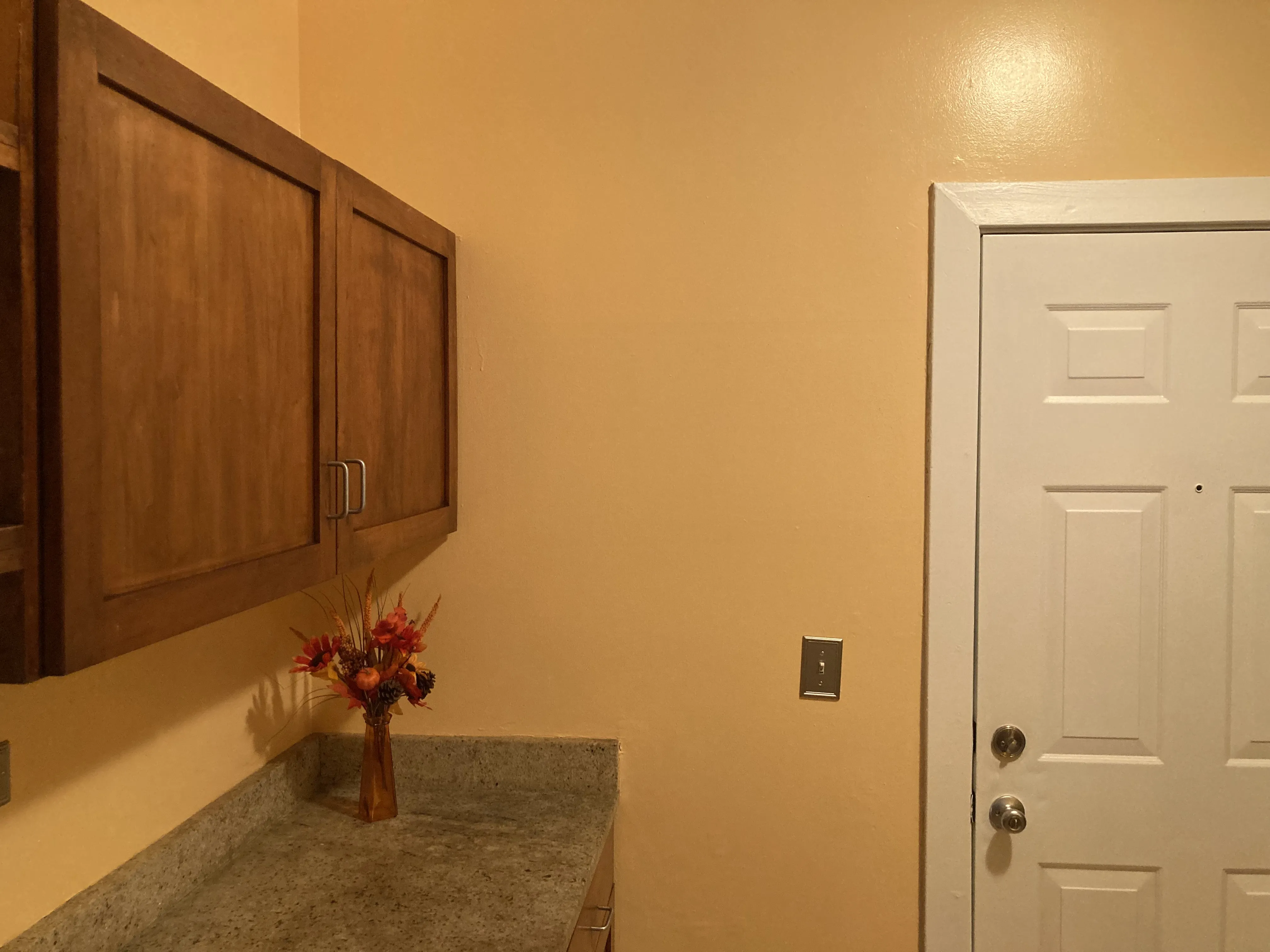 7025 N SHERIDAN RD 60626-Sheridan Shores Condos-unit#1N-Chicago-IL
