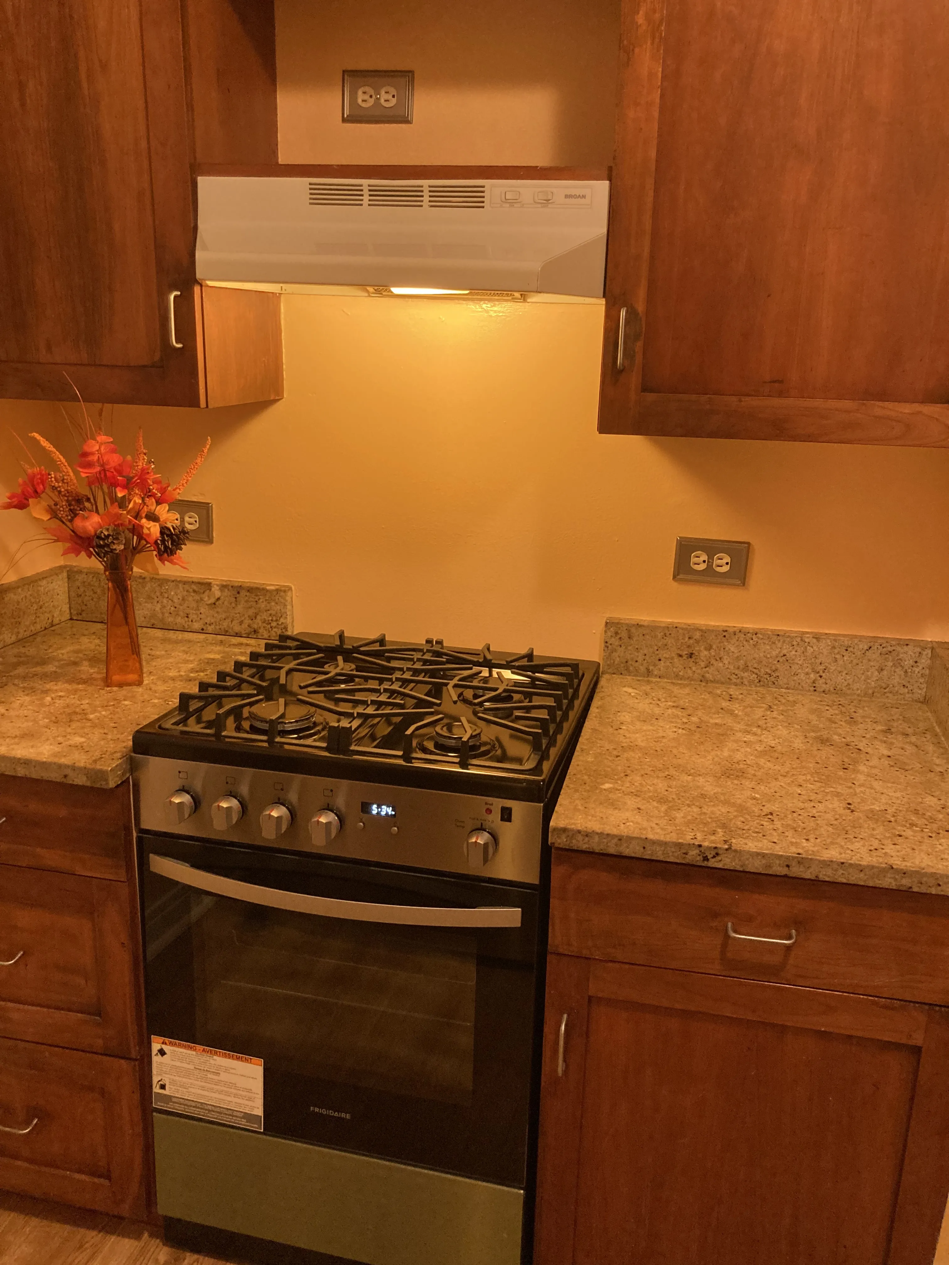 7025 N SHERIDAN RD 60626-Sheridan Shores Condos-unit#1N-Chicago-IL