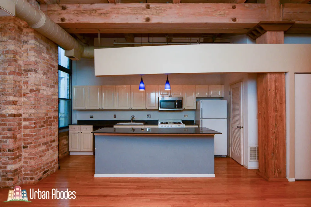 375 W ERIE ST 60654-unit#321-Chicago-IL